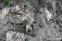 VBS_3195 - Mango (Cuneo) - Gnomovia